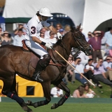 Photoscience - Polo and Wedding photographers in Hampshire Surrey and Sussex